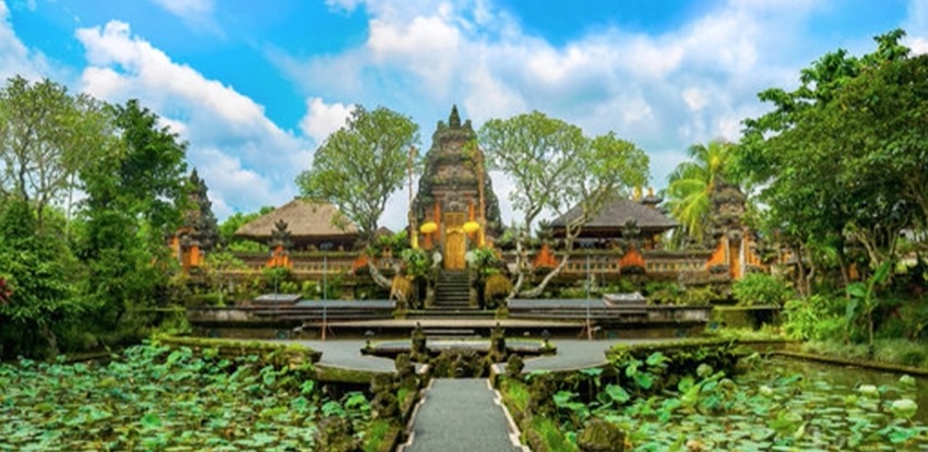 Bali: Wellness Week Retreat