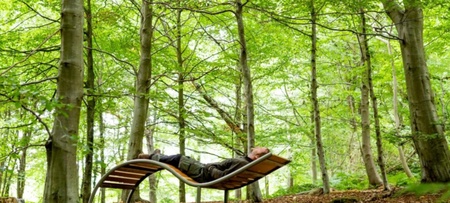 The Power of Now: How Living in the Present Moment Unlocks True Happiness